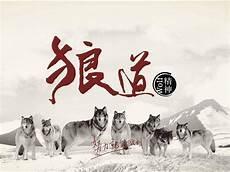 初一狼的读后感300字