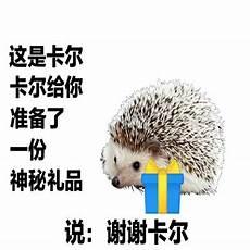 卡尔常用照片